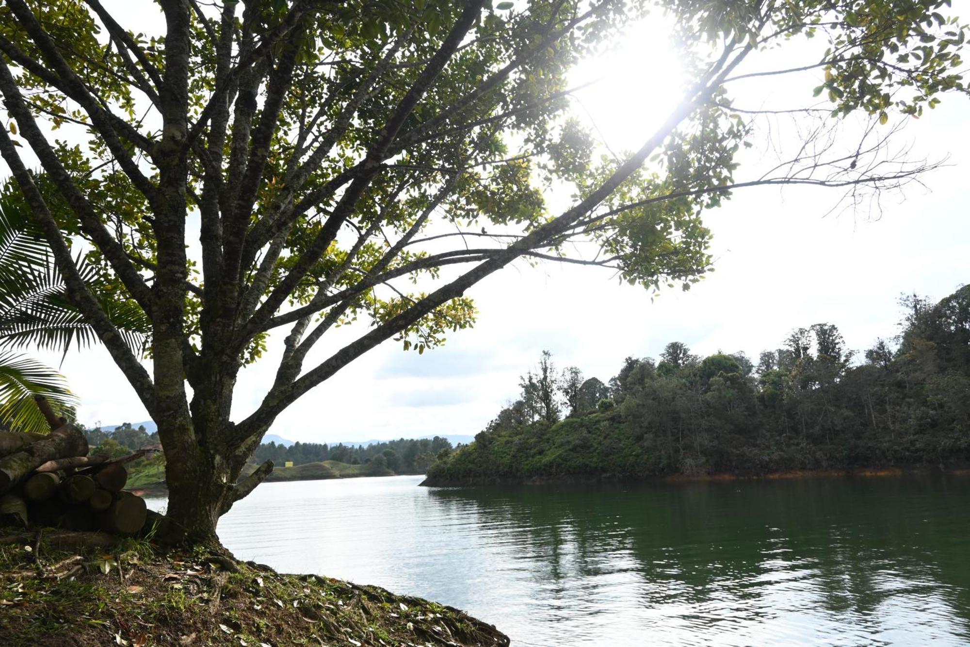 ホテル Casa Flotante La Trinidad Guatapé エクステリア 写真
